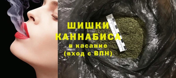 гидра Арсеньев